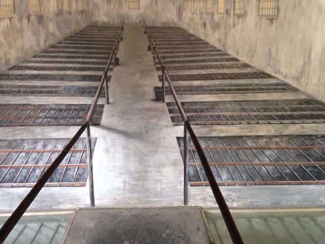 143AC860-DAC7-435C-98E4-A85A8BA04C6A