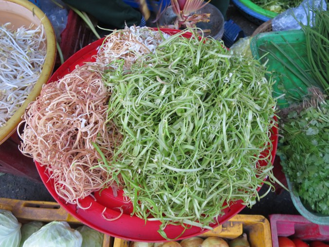 untitled__20180223_329