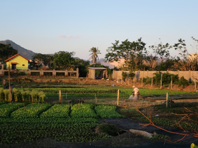 untitled__20180223_350